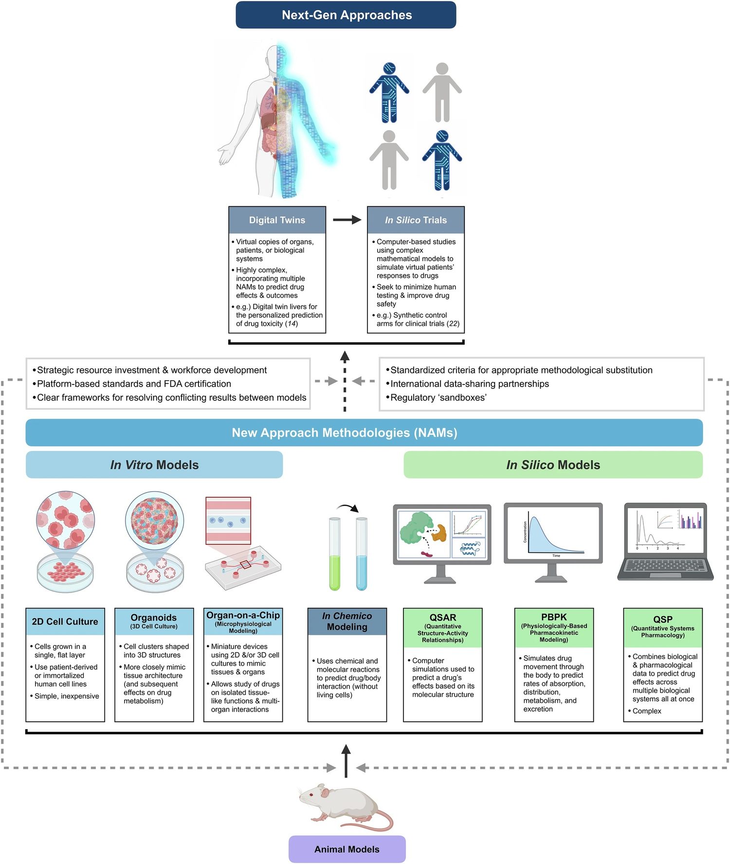 Framework of next-generation drug development approaches: New Approach Methodologies (in vitro and in silico models) building toward digital twins and in silico trials, replacing animal models